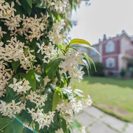 Ca' Bragadin, And Relax In Venice Apartment