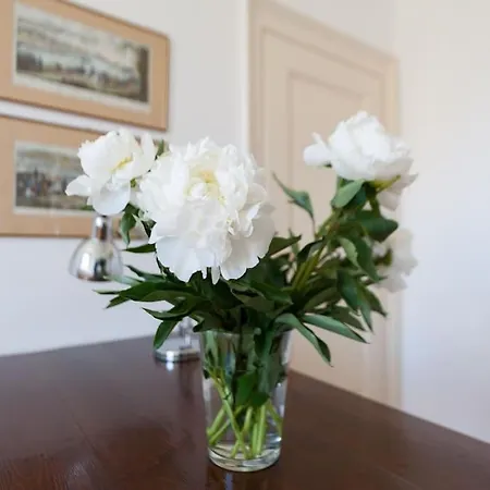 Apartment Ca' Bragadin, And Relax In Venice