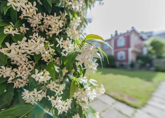 Ca' Bragadin, And Relax In Venice Apartamento