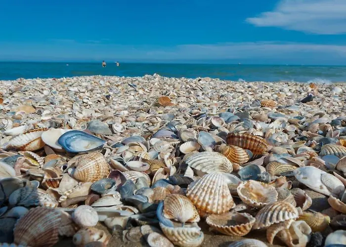 Ca' Bragadin, And Relax In Venice Lido de Venecia
