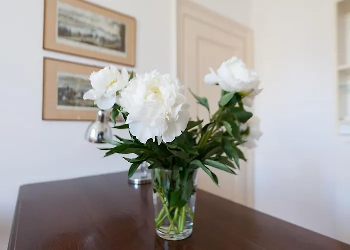 Apartamento Ca' Bragadin, And Relax In Venice